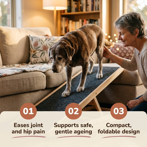 Sylvan Stride Foldable Pet Ramp