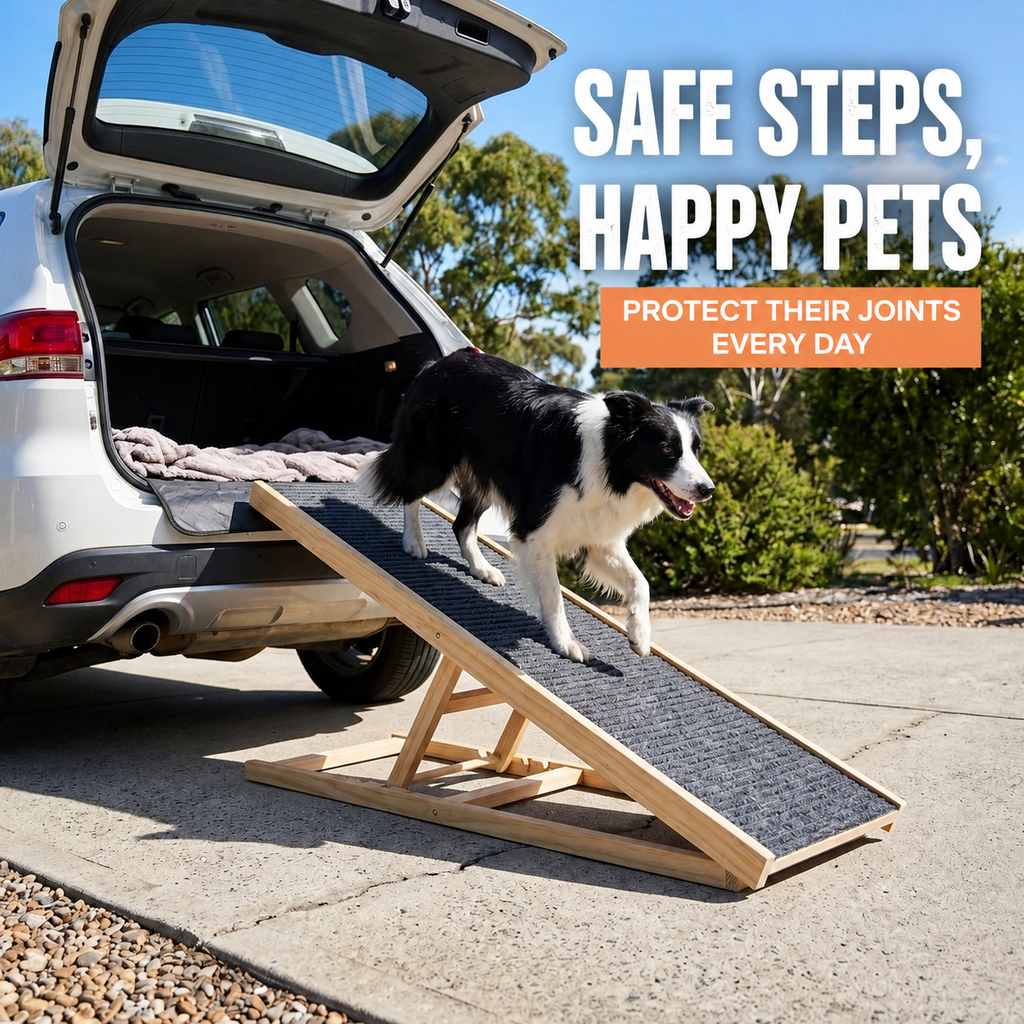 Sylvan Stride Foldable Pet Ramp
